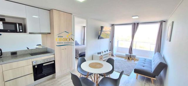 Arriendo Dpto. Amoblado MARZO-DIC 2026 (91227)