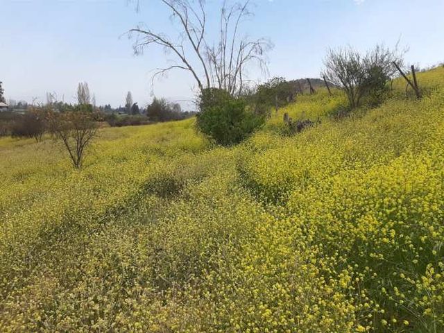 SITIO Panamericana Norte