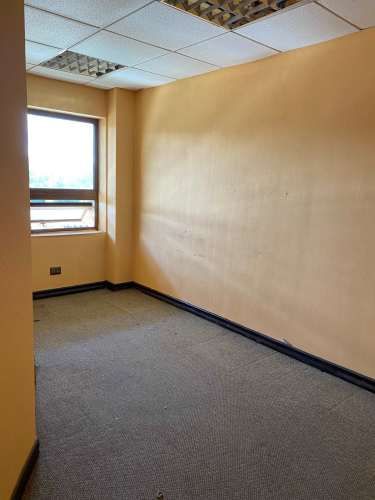 Oficinas amplias con 579 mts2 con varias dependencias en el centro de la ciudad.