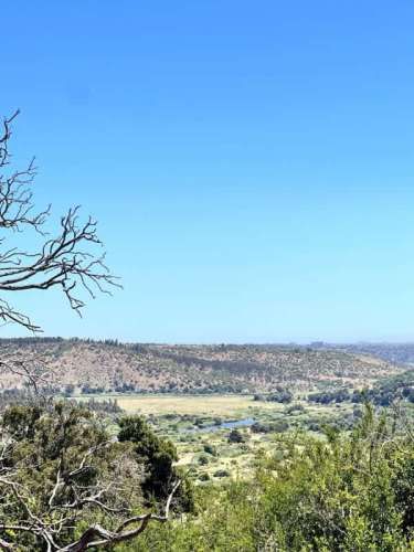 Agrícola CAMINO A LOS ESPINOS