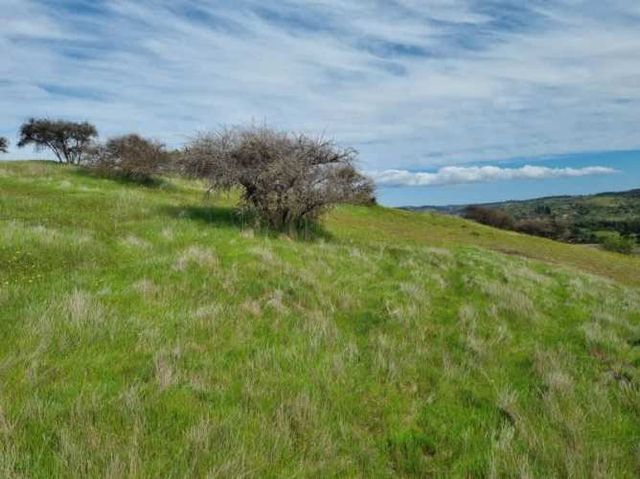 Agrícola EL CONVENTO