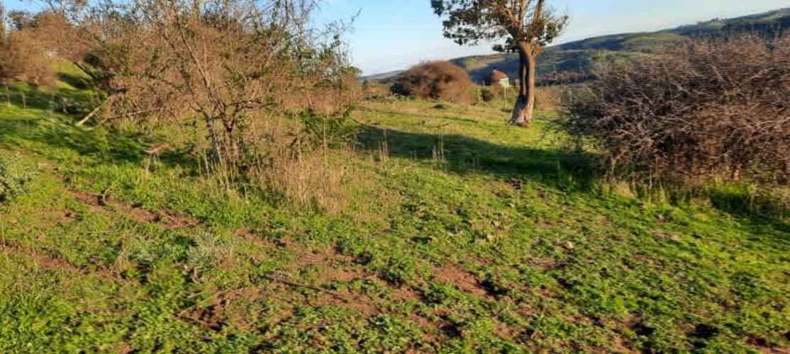 Parcela PARCELACIÓN LLANOS DEL CONVENTO