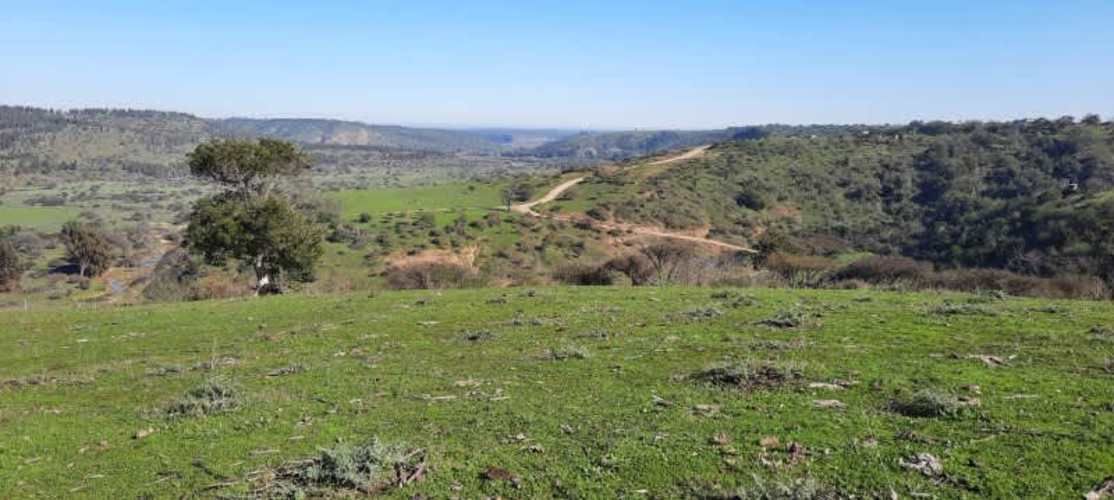 Parcela PARCELACIÓN LLANOS DEL CONVENTO