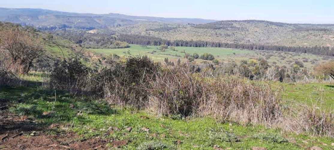 Parcela PARCELACIÓN LLANOS DEL CONVENTO