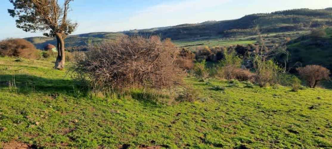 Parcela PARCELACIÓN LLANOS DEL CONVENTO