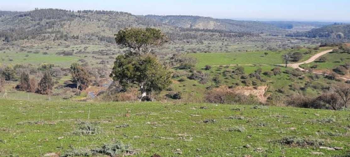 Parcela PARCELACIÓN LLANOS DEL CONVENTO