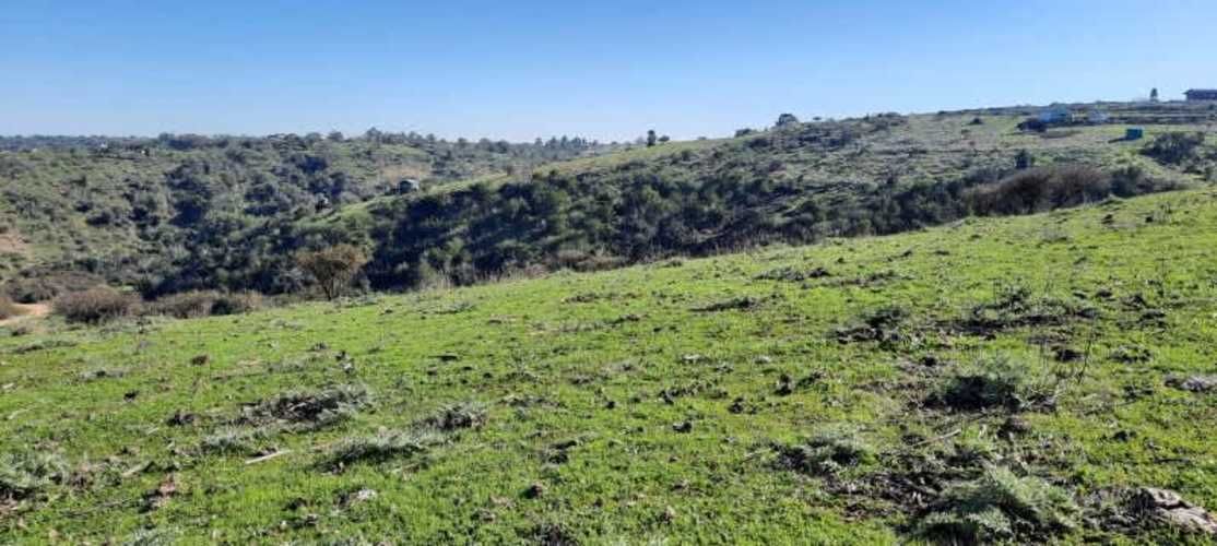 Parcela PARCELACIÓN LLANOS DEL CONVENTO