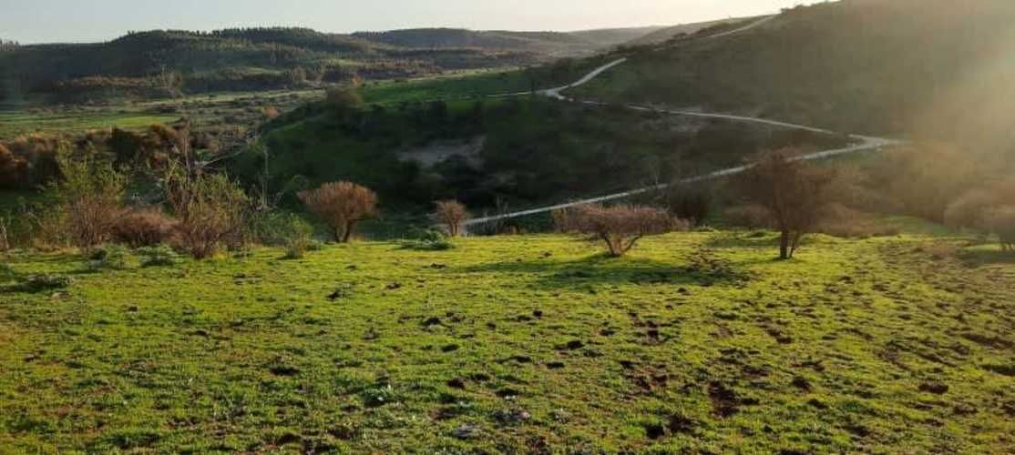 Parcela PARCELACIÓN LLANOS DEL CONVENTO