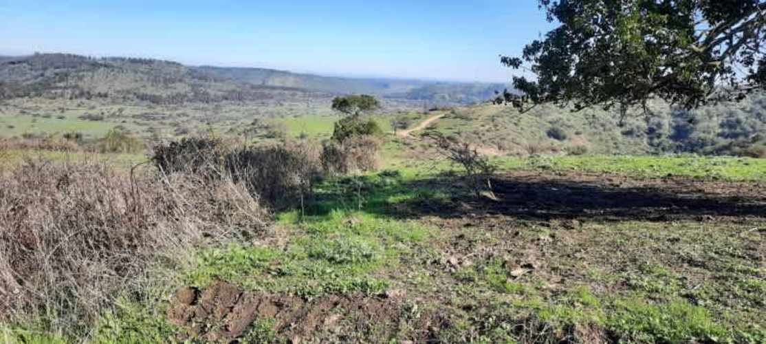 Parcela PARCELACIÓN LLANOS DEL CONVENTO