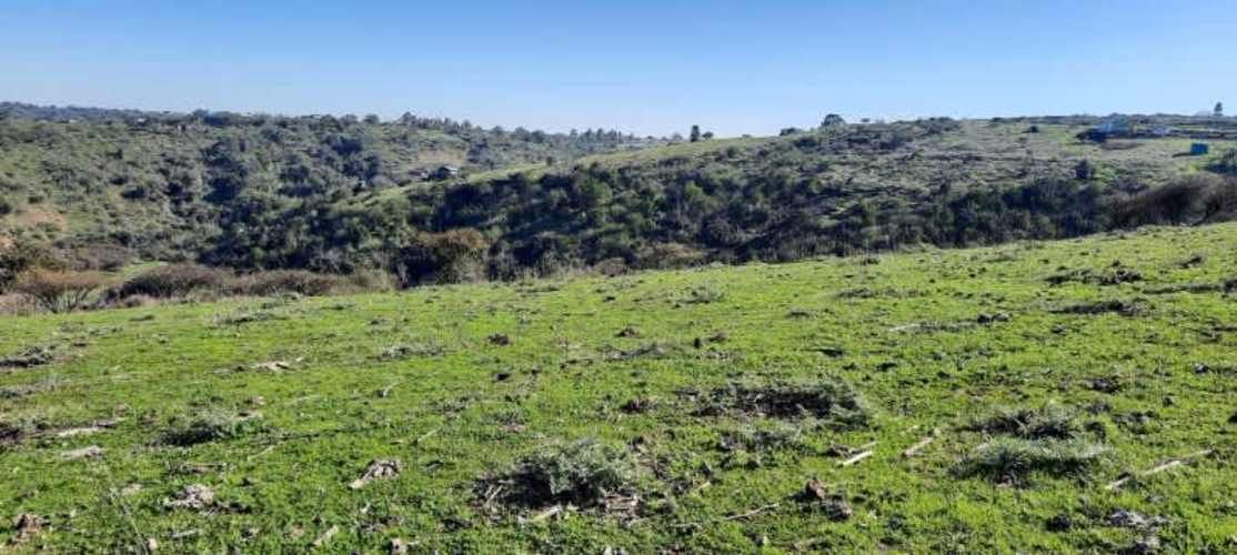 Parcela PARCELACIÓN LLANOS DEL CONVENTO