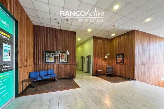 OFICINA Paseo Libertad