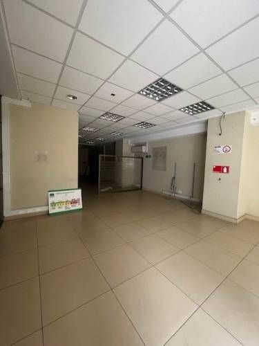 Local Comercial 135 M2