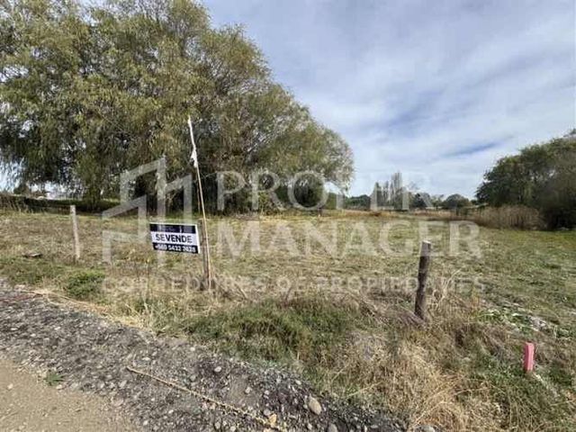 PARCELA Parcela 6.000 m2 - Proyecto Siloe