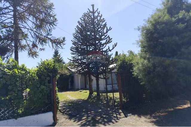 Gran oportunidad parcela quillon