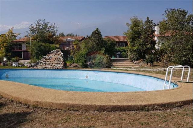 El mejor precio de lo cañas