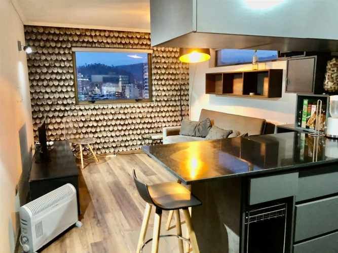 DEPARTAMENTO LIENTUR