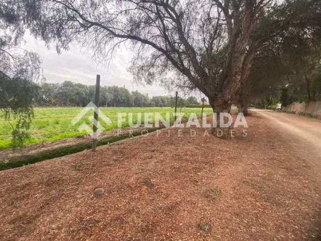 PARCELA Camino La Palma