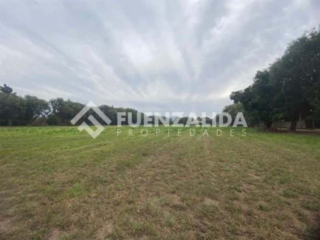 PARCELA Camino La Palma