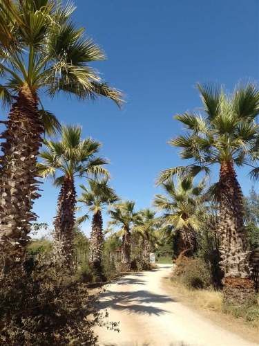 TERRENO CONSTRUCCION callejon las gaviotas ruta f 240 mantagua