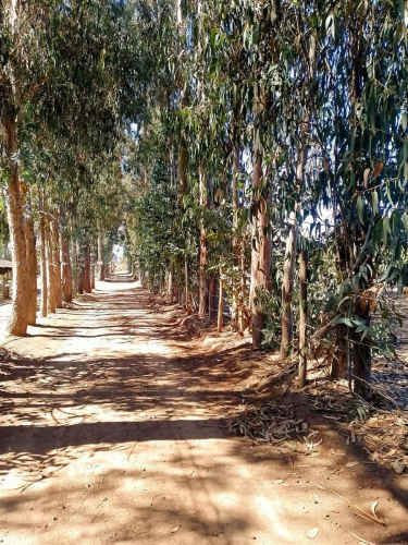 PARCELA RUTA F 40 callejon las gaviotas mantagua