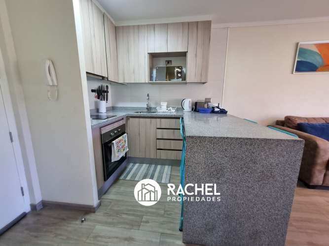 EN VENTA DEPARTAMENTO PARA 4/6 PERSONAS EN LOS CASTAÑOS DE ALICURA, PUCON