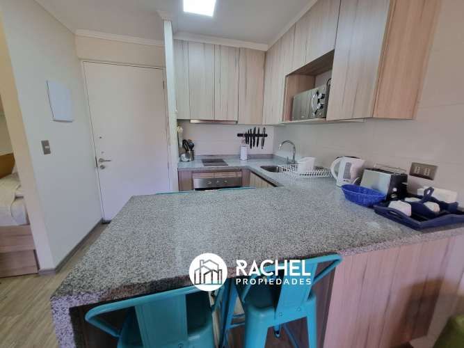 EN VENTA DEPARTAMENTO PARA 4/6 PERSONAS EN LOS CASTAÑOS DE ALICURA, PUCON