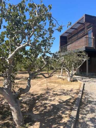 CASA Condominio Los Chirimoyos, alfalfares