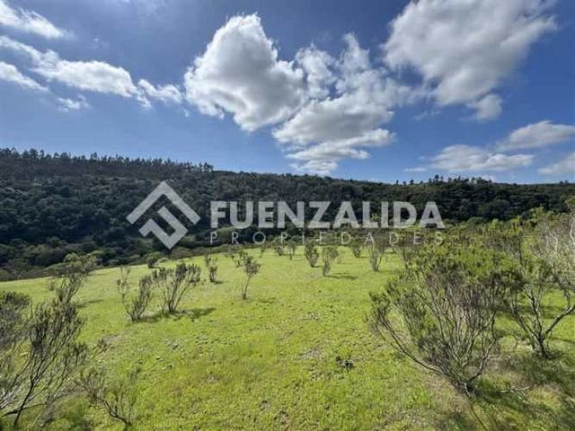 SITIO Parcela 4 Lote 40 - 38 El Comvento