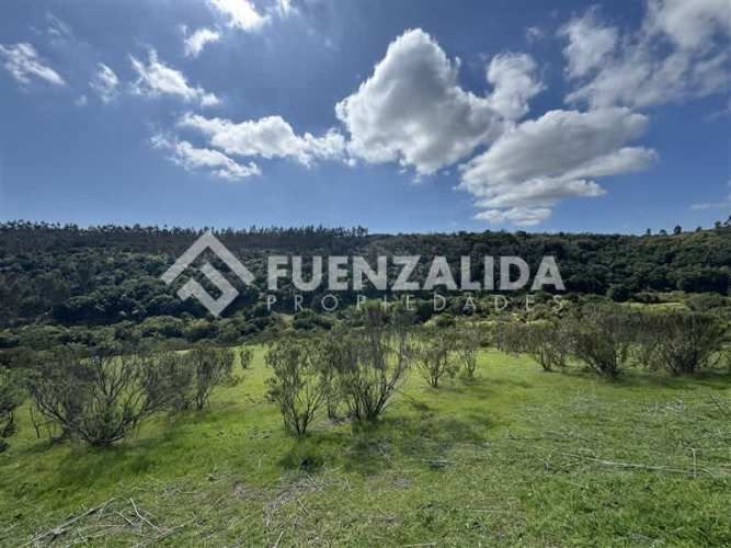 SITIO Parcela 4 Lote 40 - 38 El Comvento