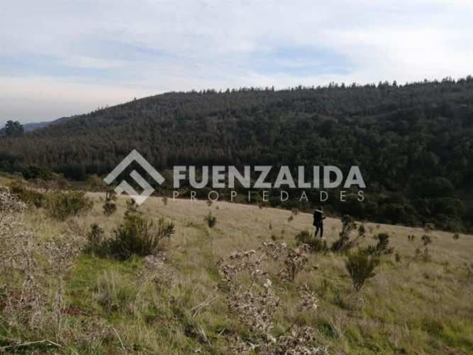 SITIO Parcela 4 Lote 40 - 38 El Comvento