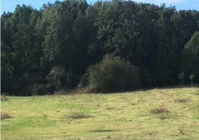 TERRENO CERCANO PATAGONIA VIRGIN (93089)