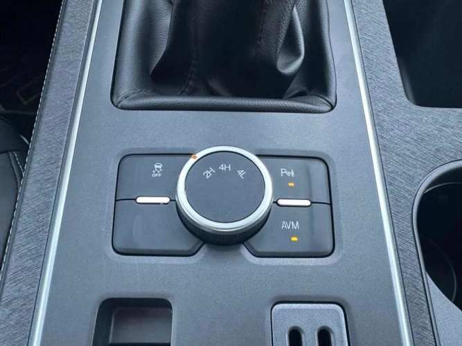 ZX AUTO GRAND LION 2025