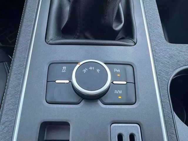 ZX AUTO GRAND LION 2025