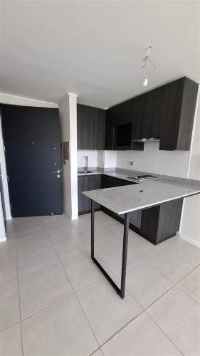 DEPARTAMENTO Los Andes de Violeta Parra 4162