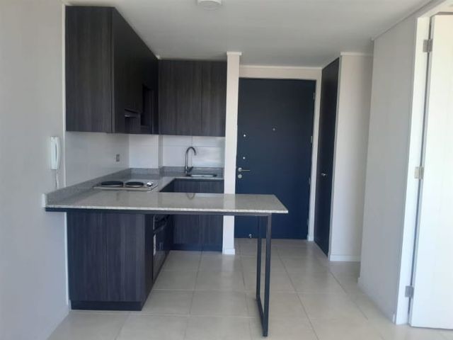 DEPARTAMENTO Los Andes de Violeta Parra 4162