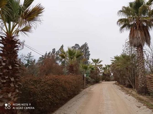 SITIO RUTA F 40 callejon las gaviotas mantagua