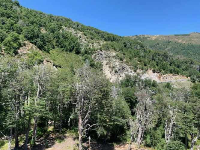 DEPARTAMENTO Condominio Andes