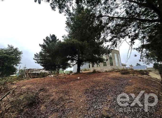 OFICINA DOBLEVIA PUBLICIDAD