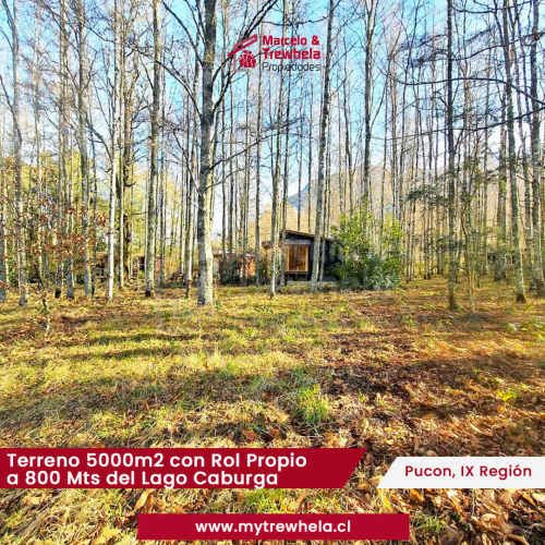 EN VENTA 5000 M2 IDEAL PARA PROYECTO DE CABAÑAS A METROS DE LOS OJOS DEL CABURGUA. CON 4 CABAÑAS, PUCÓN / IX REGION / ROL PROPIO Emplazada en sector Carhuello, Pucón a minutos de los Ojos del Caburgua