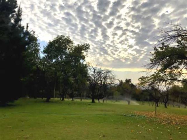 SITIO Olga Salas / San Joaquín