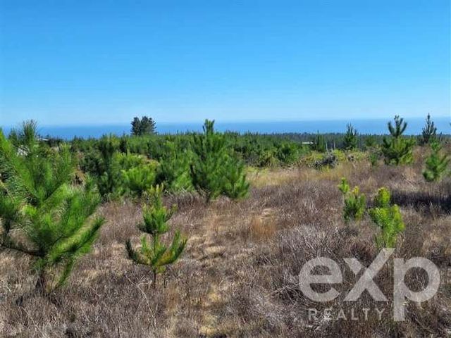 PARCELA L 109 5000 m2 Alto Colorado Pichilemu