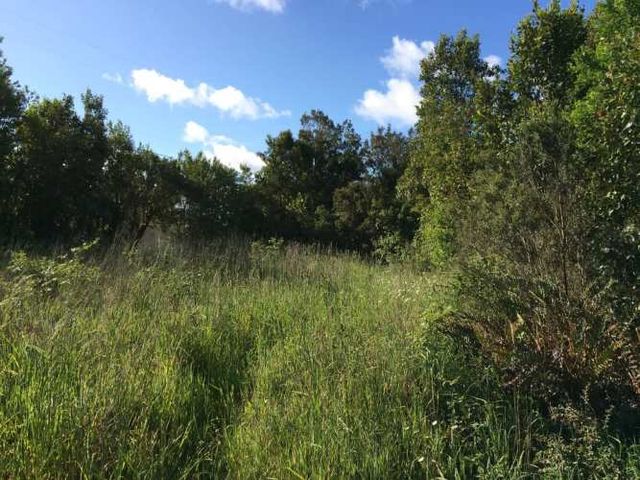 HERMOSA PARECELA CON VERTIENTE Y BOSQUE NATIVO