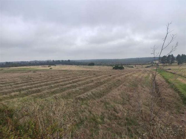 AGRICOLA Quillaicillo