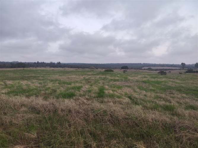 PARCELA Quillaicillo