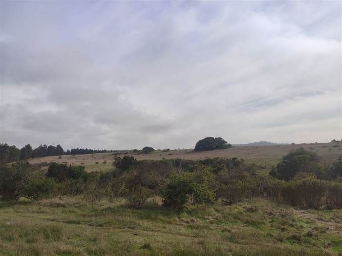 PARCELA Quillaicillo