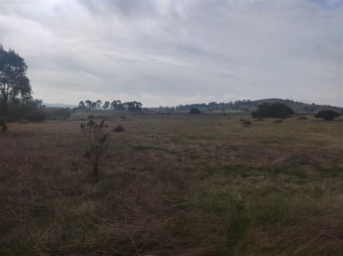 PARCELA Quillaicillo