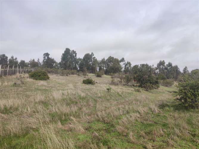 PARCELA Quillaicillo