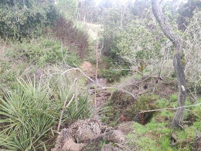 PARCELA Quillaicillo