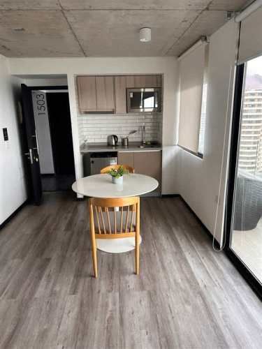 Departamento PARQUE BRASIL AV BERNARDO OHIGGINS