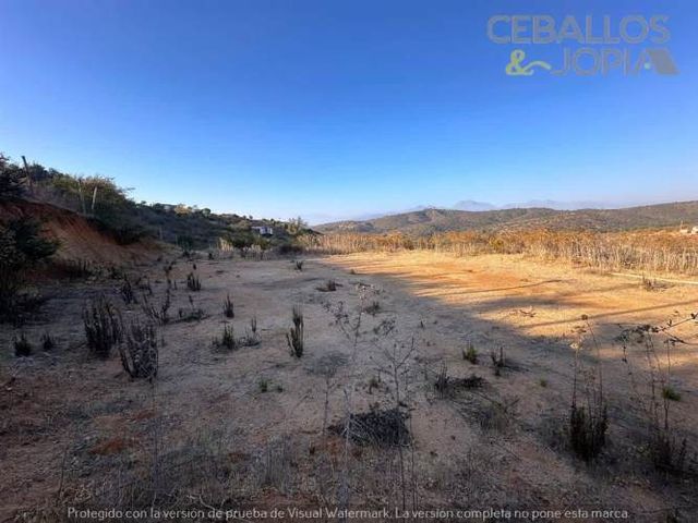 PARCELA CAJON DE LEBU